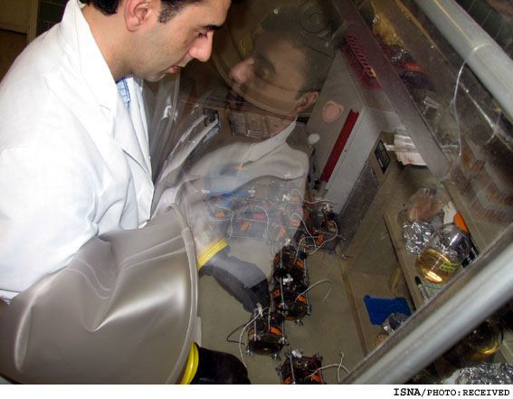 محقق ایرانی دانشگاه اوهایو از مایع شکمبه گاو برق تولید کرد