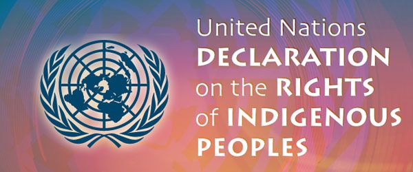 اعلامیه سازمان ملل متحد درباره حقوق مردمان بومی ʂ)