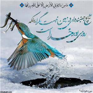 مفهوم «روزی» در قرآن